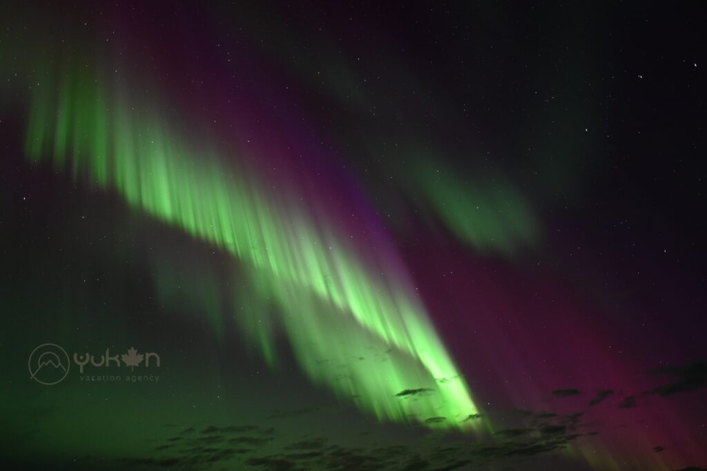 Auroras-boreales-en-yukon