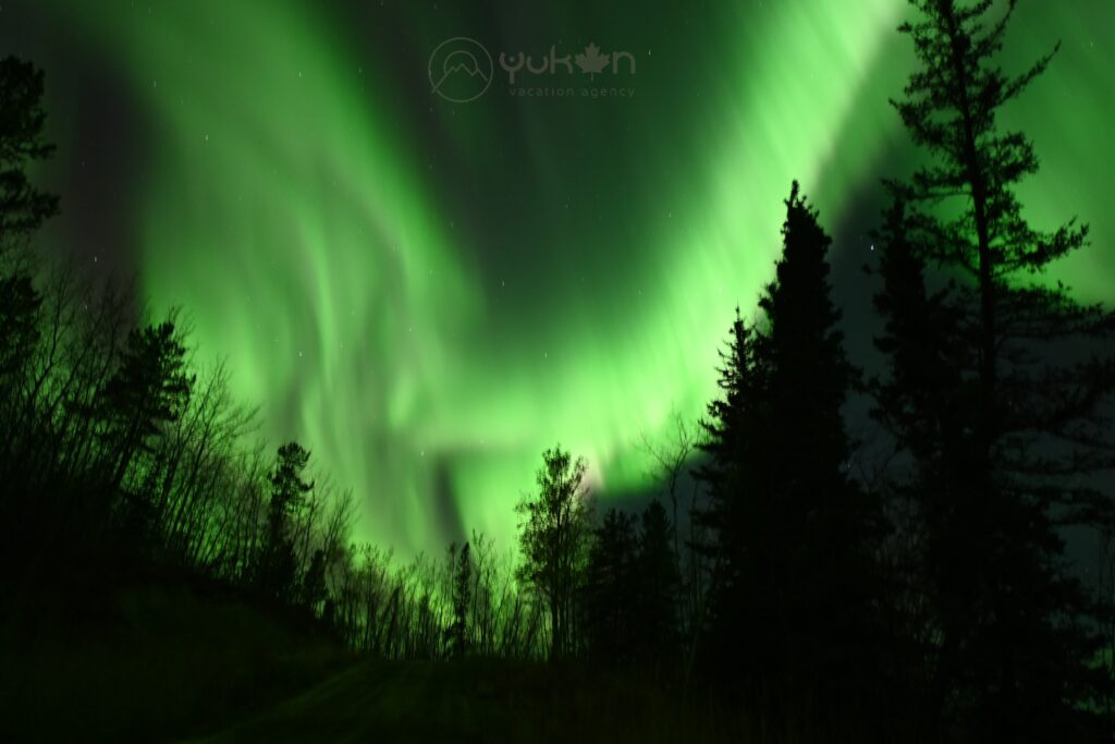 Northern-lights-in-whitehorse-2025