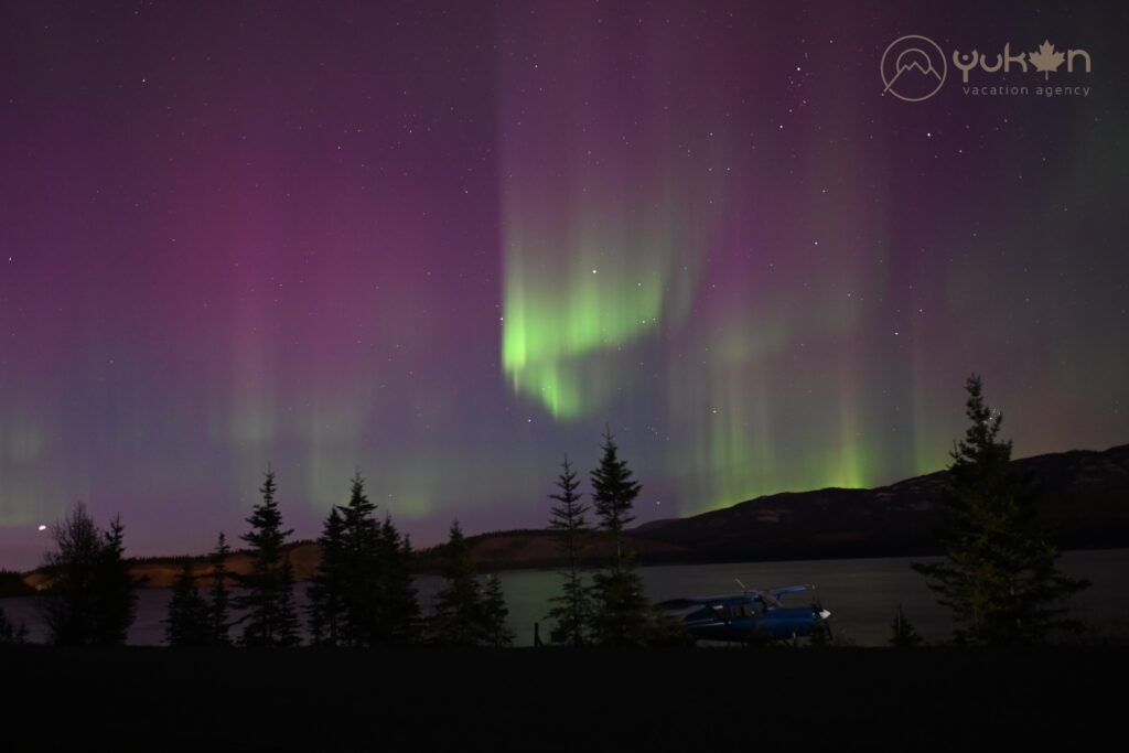 auroras-boreales-en-lago-whitehorse